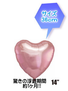 o[Mtg@u[_Y[X^[