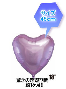o[Mtg@bh_Y[X^[