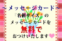 o[MtgJ[h